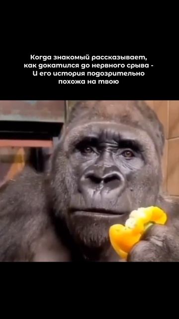 Симптомы приближающегося нервного срыва уже на стене сообщества “Лекон”  Держите руку на пульсе 👋