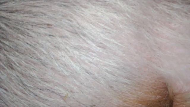 Ждём чудо/Нюша боится и я боюсь