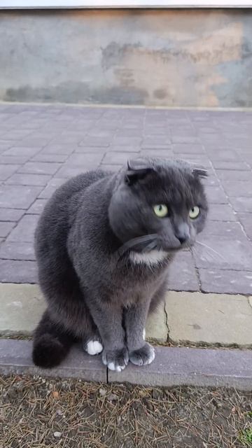 Закат над Эйфелевой башней в Париже #Париж #ЭйфелеваБашня #Закат