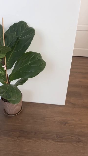 MSPC ламинат Stone Floor вместо клеевого кварцвинила на теплый пол — отзыв из Волгограда