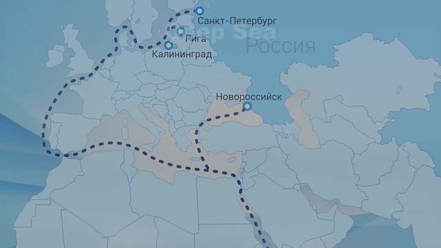 О компании «Полярная звезда», 2025 год