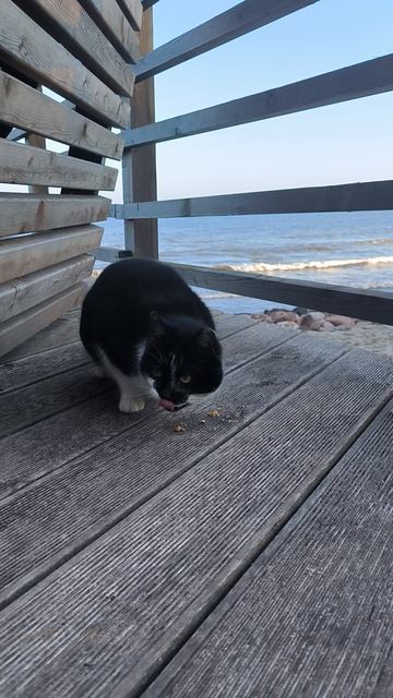 Завтрак на террасе с видом на море😍