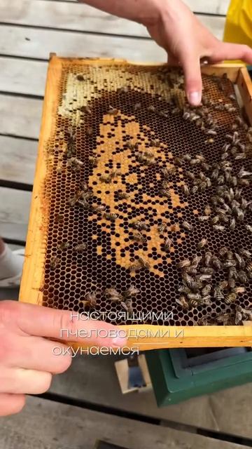 Экскурсия на Пасеку в Екатеринбурге