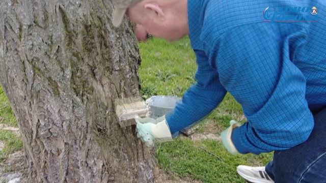 СУББОТНИКИ В САКАХ ПРОДОЛЖАЮТСЯ (27.03.2026г.)