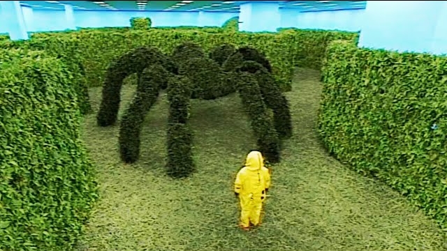 Backrooms - Level 150 “Garden” (found Footage)