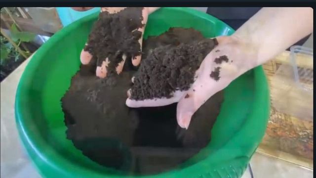 ПОСЕВ И ВЫРАЩИВАНИЕ ТОМАТОВ БЕЗ ПИКИРОВКИ! ЗАБЫТЫЙ СПОСОБ