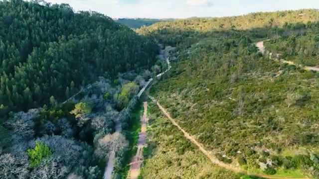 Аккордеонная танцевальная музыка 💃 Шансон встречает электрогрув @RelaxVibes-n7l