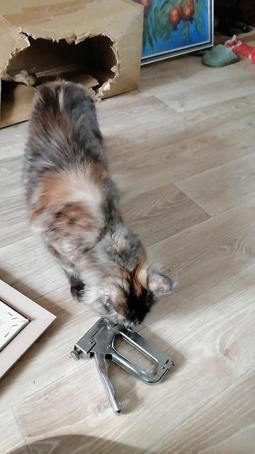 Работы на выставку