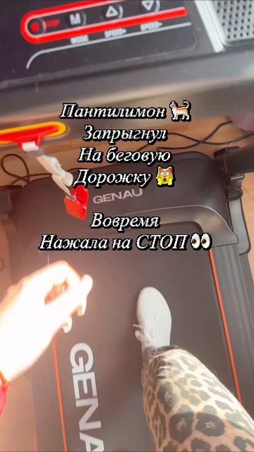 Никогда не знаешь что на уме у этого пушистого 👀🐈✌️