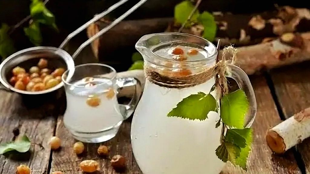 КВАС ИЗ БЕРЁЗОВОГО СОКА 😋👍