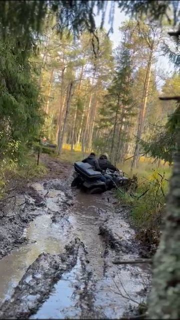 проехал без проблем