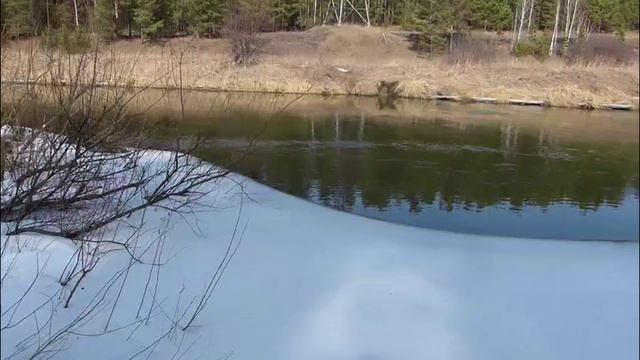 Весенний романтизм