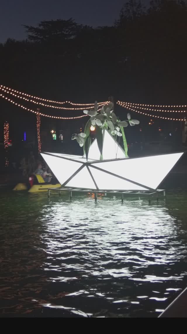 А где кораблик? А магнолия уже цветёт!