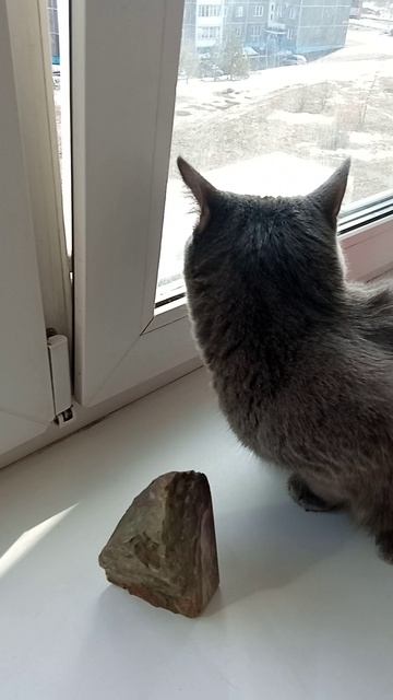 VID_20260327_145812 27.03.2026