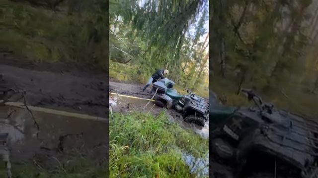 Застряли в грязи