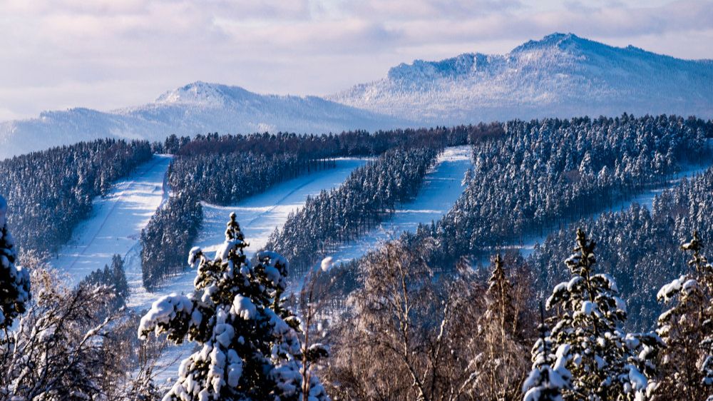 Мраткино 15.02.2026