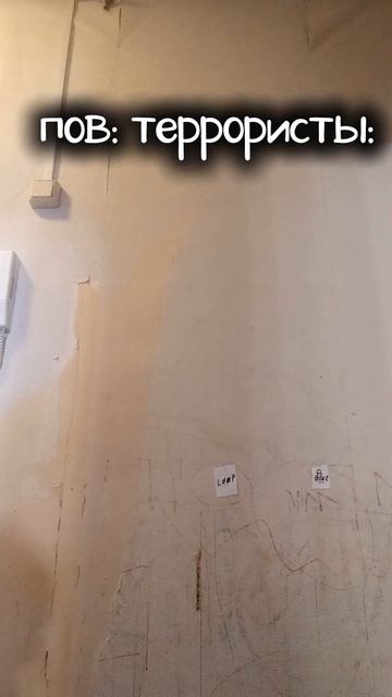 пов: те самые террористы: