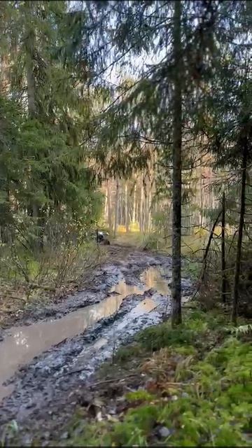 не много грязи