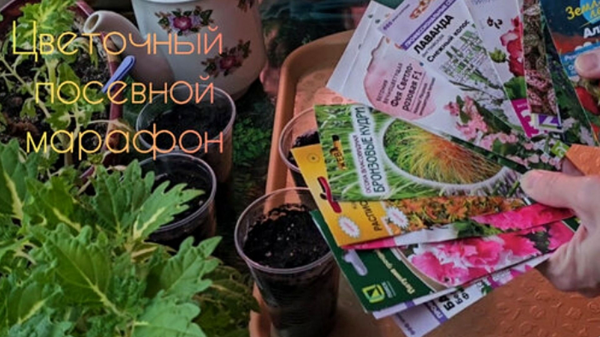 Сеем цветы быстро и просто