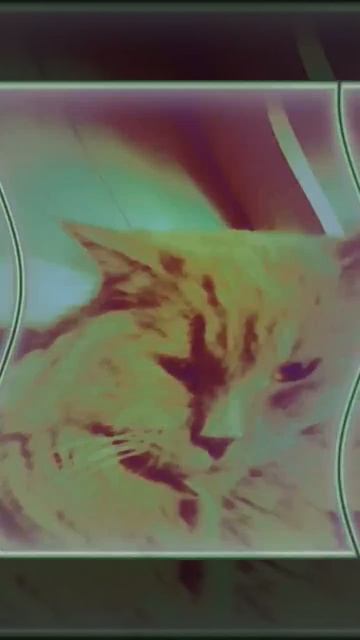 Эдит с дымкой