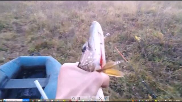 ✔Со спиннингом🎣  за щукой🐟 на деревенский пруд🌊 Часть 4✔