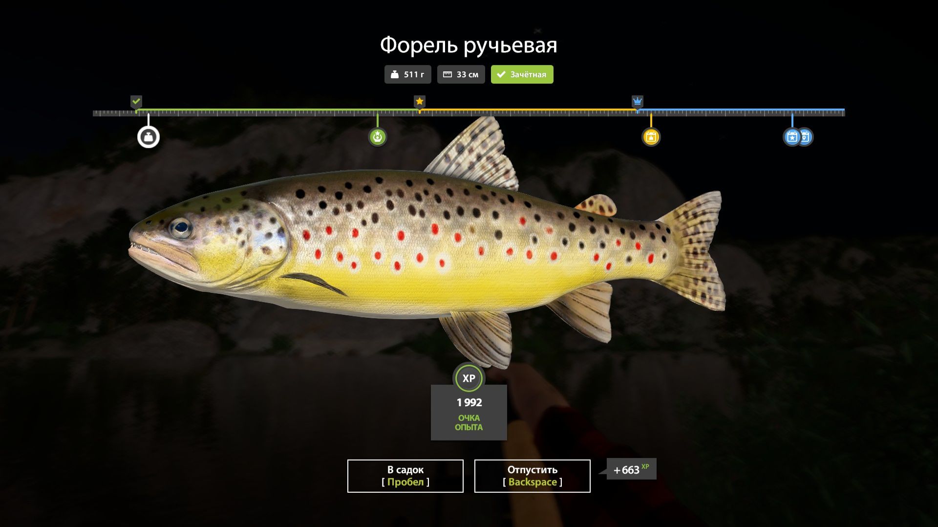 Играем в Russian Fishing 4 ловим форель,хариуса и другую рыбку на р.Белая.