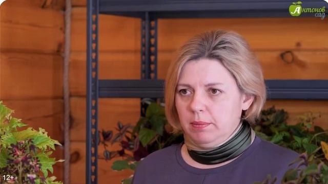 Прилипатели какими они бывают и как их правильно применять