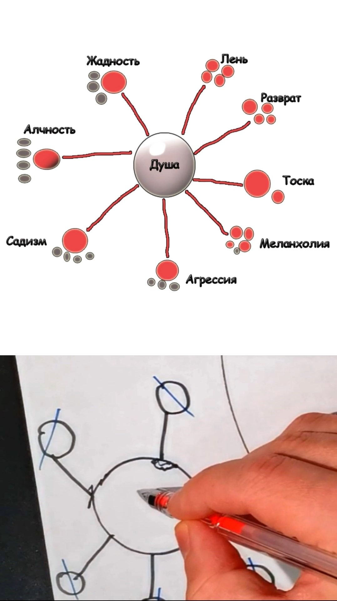 Принцип работы присосок от тёмных