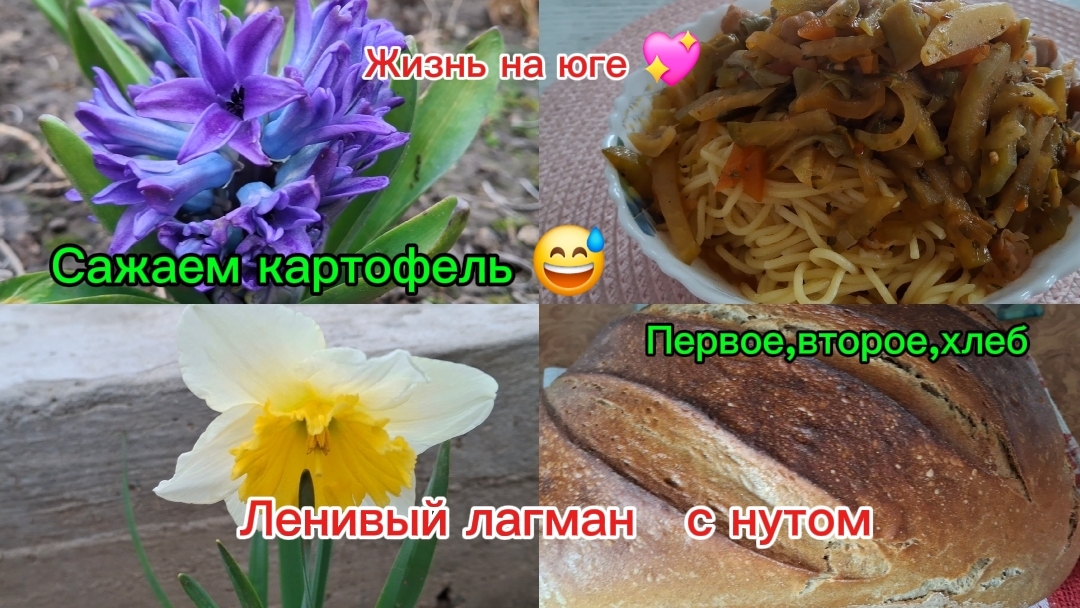 27-03-2026 Из Сибири на юг/МЕЧТЫ СБЫВАЮТСЯ/ЛАГМАН/ЛАПША/САЖАЕМ КАРТОФЕЛЬ/ХЛЕБ НА ЗАКВАСКЕ//