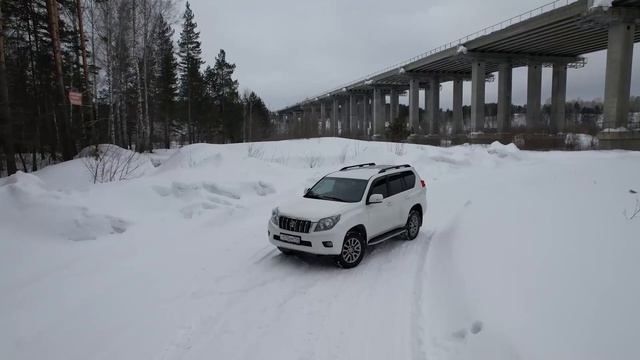 ТОП-3 японца с пробегом, которые не подведут в 2026 году!