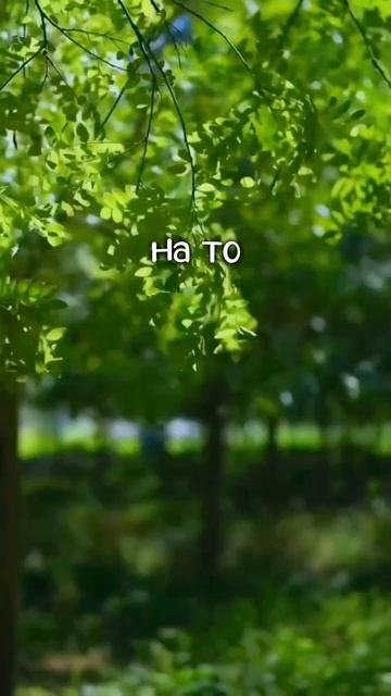 Доброе послание