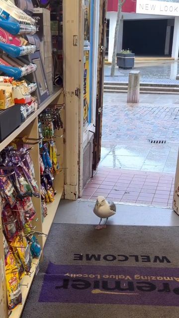 Вор должен сидеть в тюрьме, но есть ньюансы☝🏻)))