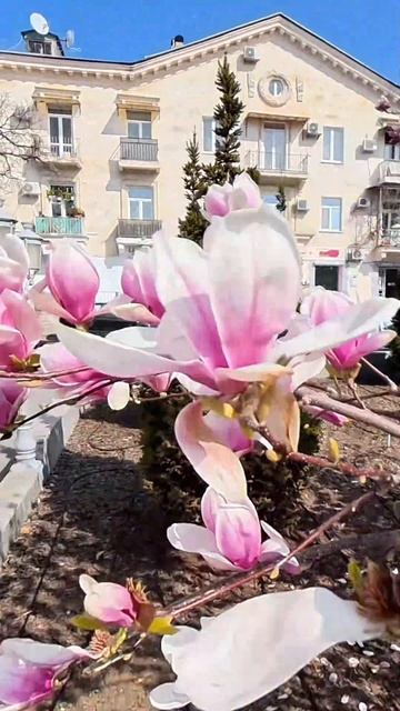 Весна в Севастополе