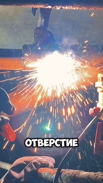 Подвальные приключения