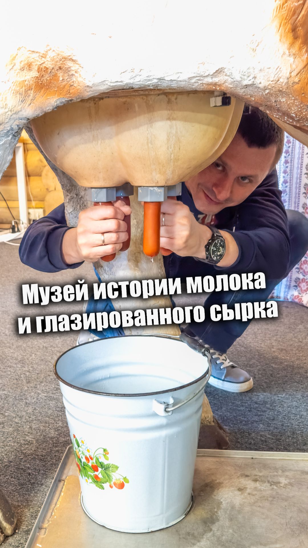 От коровы до глазированного сырка 🐮