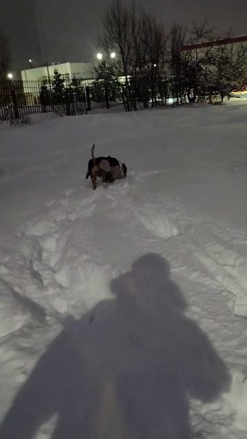 красота, сугробы ...