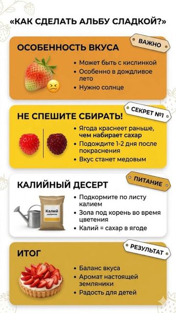 Секрет вкуса Альбы Как убрать кислинку»