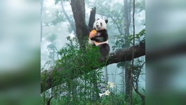 С Добрым утром!!!