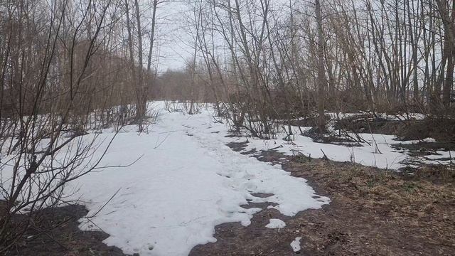 поход на косу. вопреки и преодолевая.