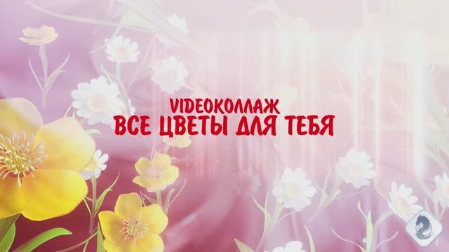 B7666c52f5f7654c27e60db238c43b68