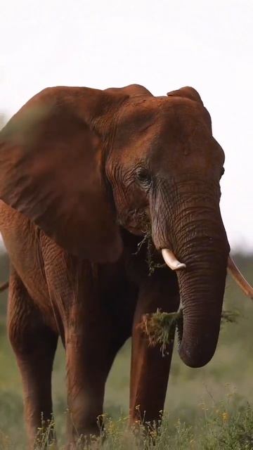 С Добрым утром!