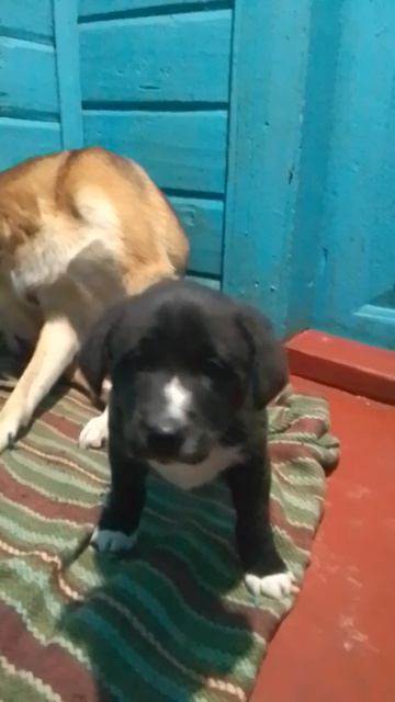 малыш уехал в новый дом 🏠