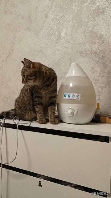 MOV_20260328_091644_714.mp4