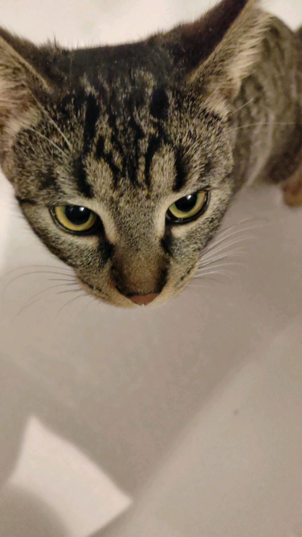 угадайте мою любимую песню