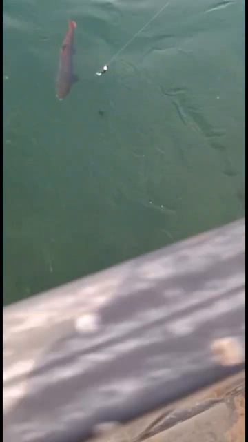 E418b44fdf106e6e43bed756ae7a39b5