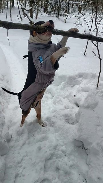 конфликт на ровном месте