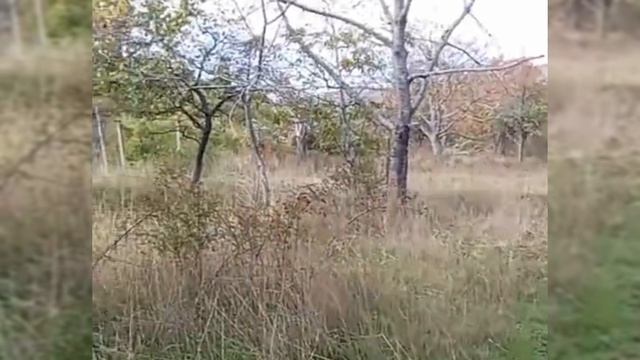 продам 6 соток Старый Крым