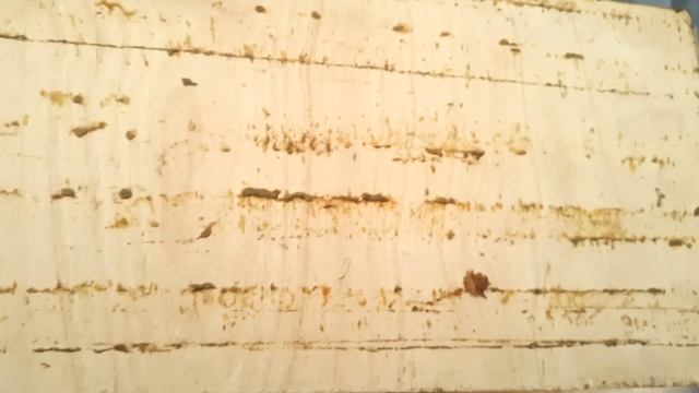 Первая побудительная подкормка весной. Часть2.