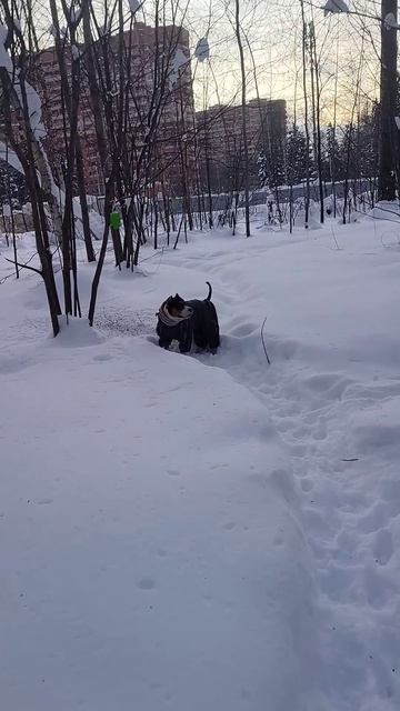 01.02.2026 зима, красота. морозы .....