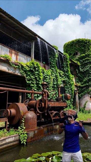 Покинутый завод: природа завоевывает территорию #природа #заброшенные #фотография